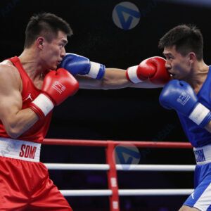 Боксёры в ринге