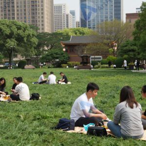 Люди сидят на траве городского парка