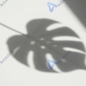 Лист растения отбрасывает тень сложной формы на белую поверхность.