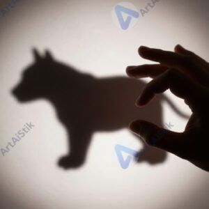 Силуэт руки