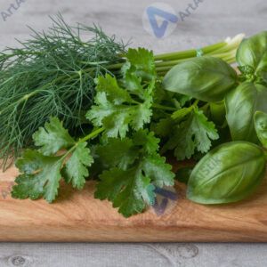 Свежая зелень