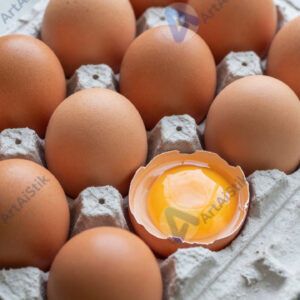 Яйца в картонной упаковке