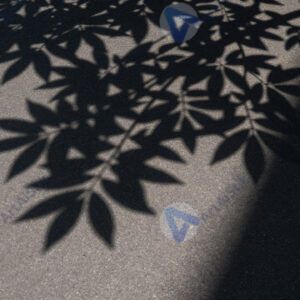 Солнечные пятна сквозь листву дерева на асфальте.