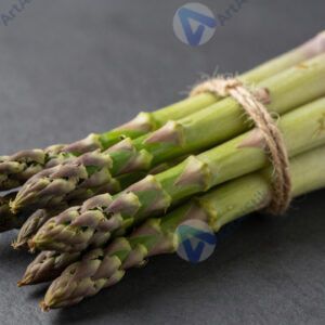 Пучок спаржи на тёмном фоне