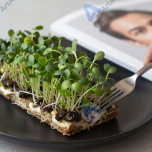 Тарелка с микрозеленью и авторской подачей на чёрном блюде.