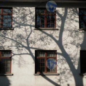 Тень от дерева на фасаде дома