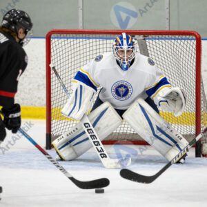 Хоккеисты у ворот