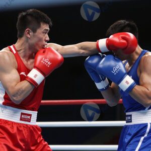 Боксёры на ринге