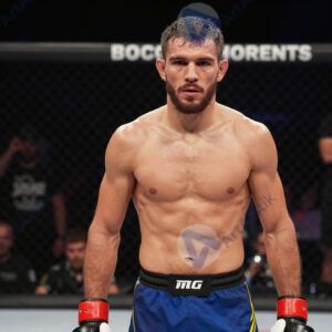 Боец смешанных единоборств в октагоне