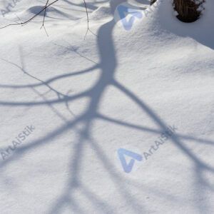 Тени веток на снегу в солнечный зимний день.