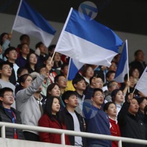 Зрители на трибунах стадиона машут флагами и кричат.