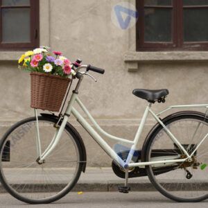 Велосипед с корзинкой и цветами на фоне старого дома.