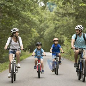 Семья едет на велосипедах по лесной дороге.