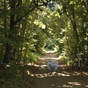 Велосипедная дорожка через лес