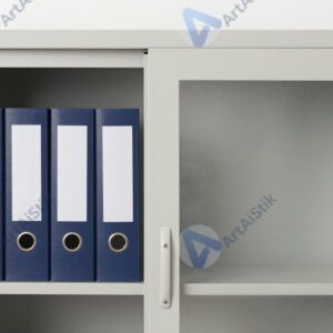 Закрытый шкаф с папками и дверцей из матового стекла.