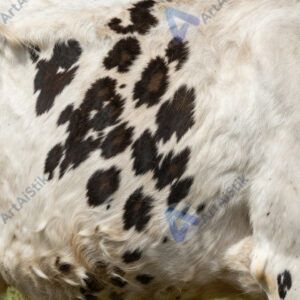 Кожа животного (например