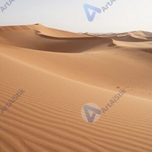 Пустынный пейзаж с дюнами