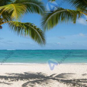 Тропический пляж с пальмами