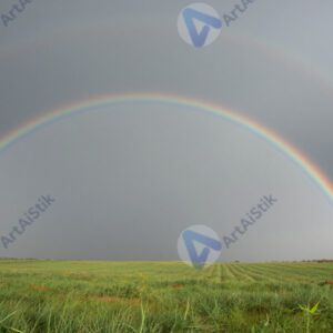 Радуга над полем после дождя