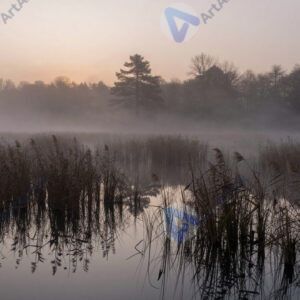 Туман над болотом