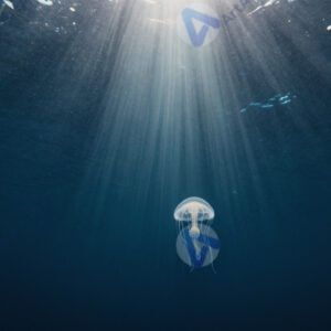 Подводный мир