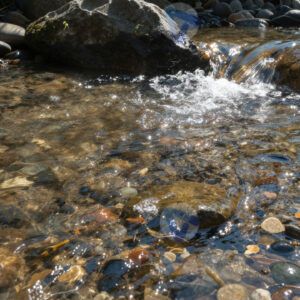 Прозрачное дно ручья