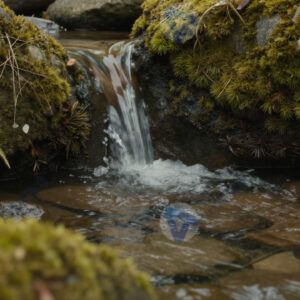 Родник из-под камней