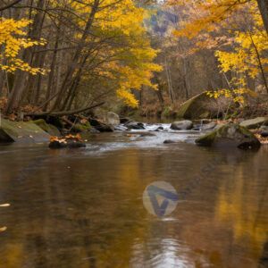 Река в осеннем лесу