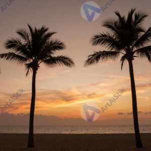 Пальмы на пляже на закате