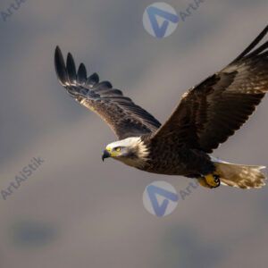 Орёл в полёте над горами