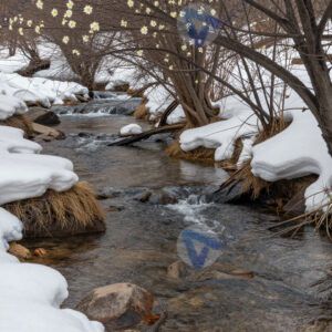 Весенний ручей