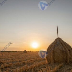 Сенокос летом, стога сена, закат, деревенский пейзаж. Сенокос летом