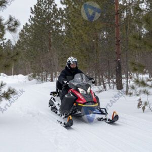 Снегоход зимой в лесу