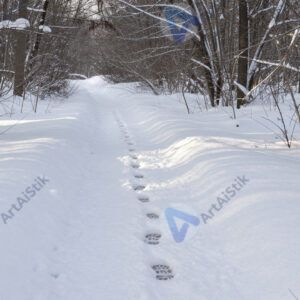Следы на снегу зимой
