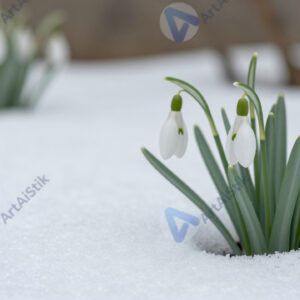 Подснежники в саду весной