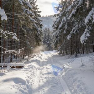 Зимний лес пейзаж с тропинкой среди заснеженных елей и мягким утренним светом
