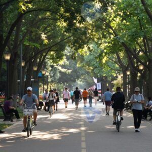 Летний городской парк с зелёными деревьями