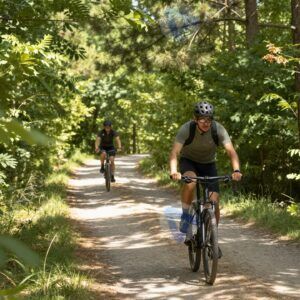 Велосипедная прогулка летом по лесной тропе с солнечными лучами между деревьями